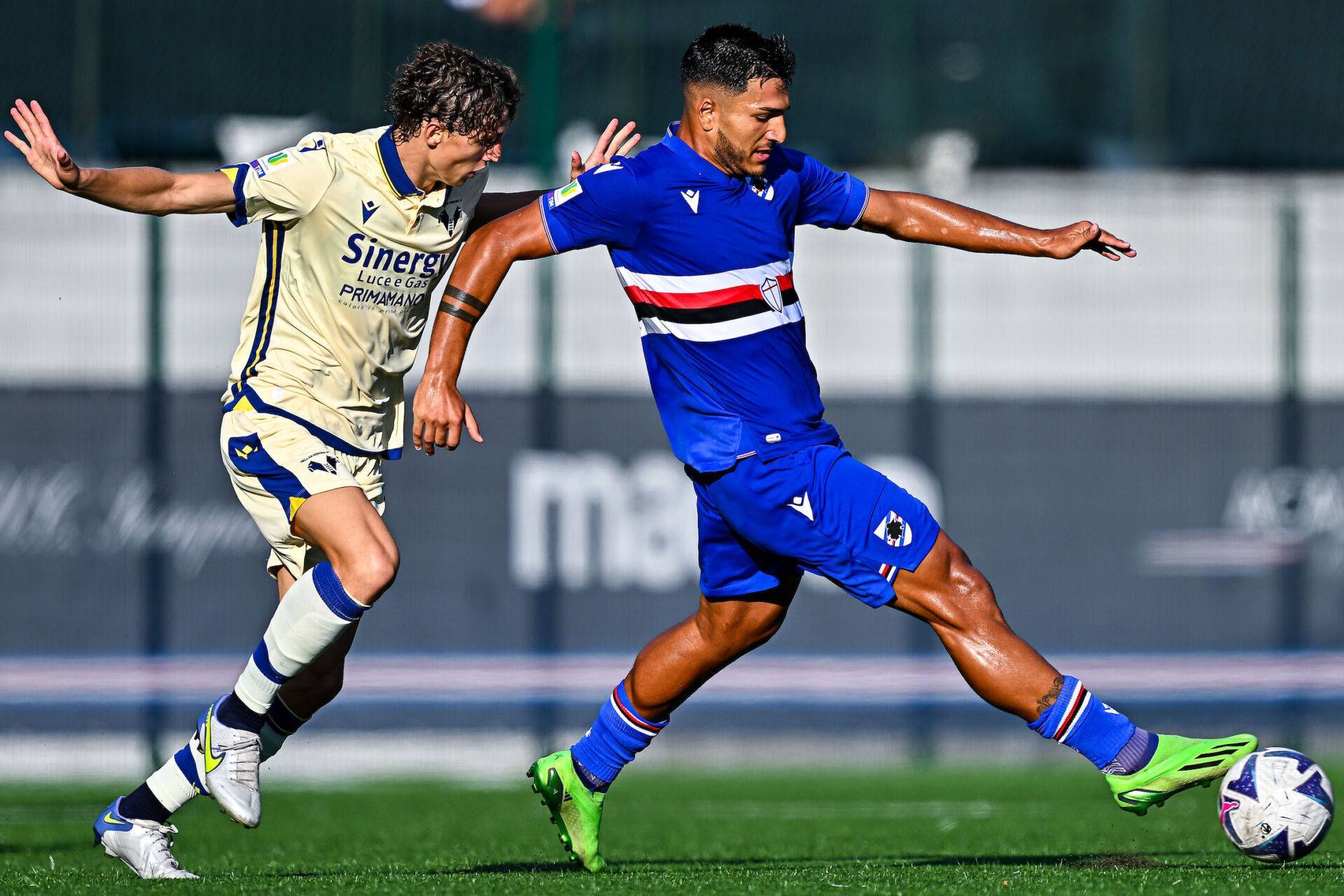 尤文图斯最新队员名单