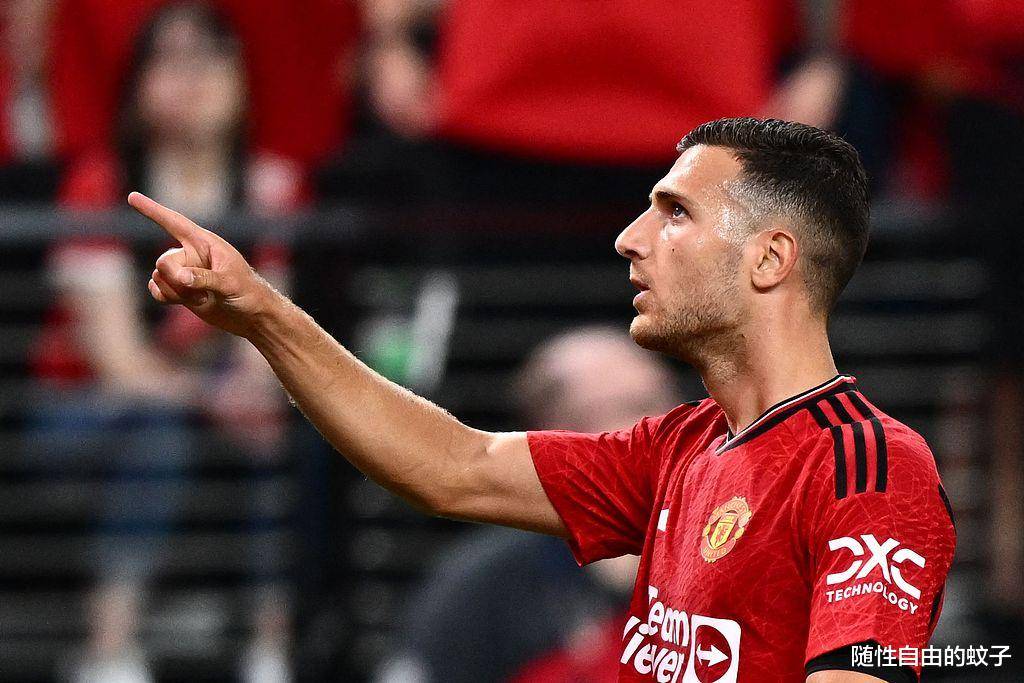 里尔迎足总杯关键赛，国际比赛日防线松动，底气十足，数据趋势出现新变化(全国赛艇锦标赛成绩单)